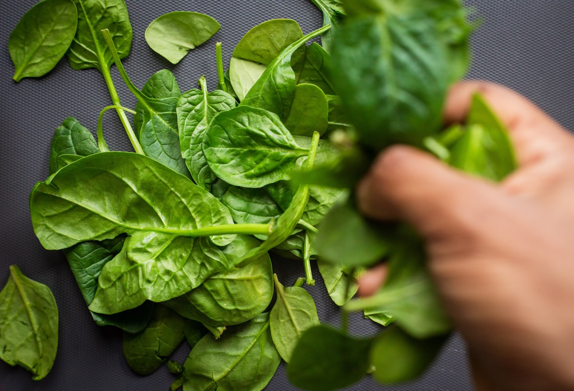 Aliments riches en calcium pour la santé osseuse